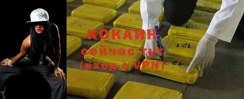 КОКАИН Fish Scale  где купить   Шали 