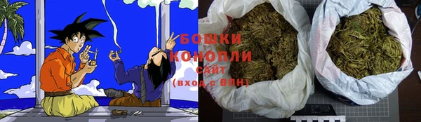 прущие грибы Кирсанов