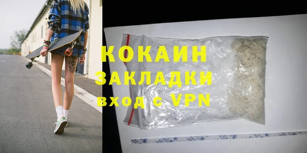 прущие грибы Кирсанов