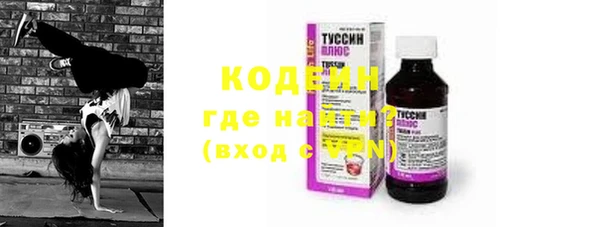 прущие грибы Кирсанов