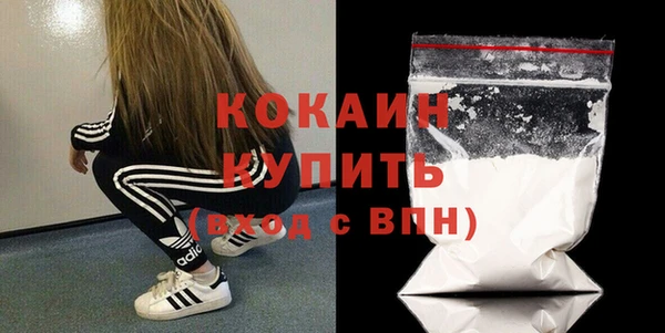 mdpv Киселёвск