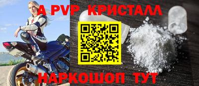 шишки Дубна