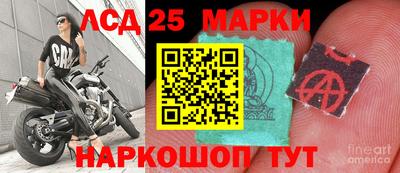 шишки Дубна