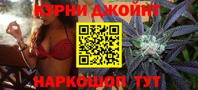 шишки Дубна