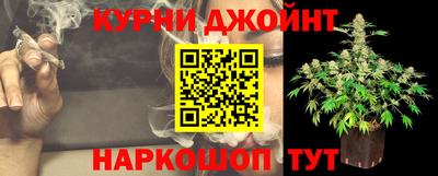 шишки Дубна