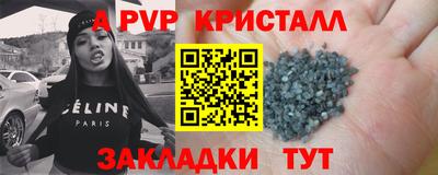 шишки Дубна
