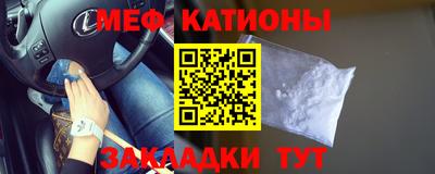 шишки Дубна
