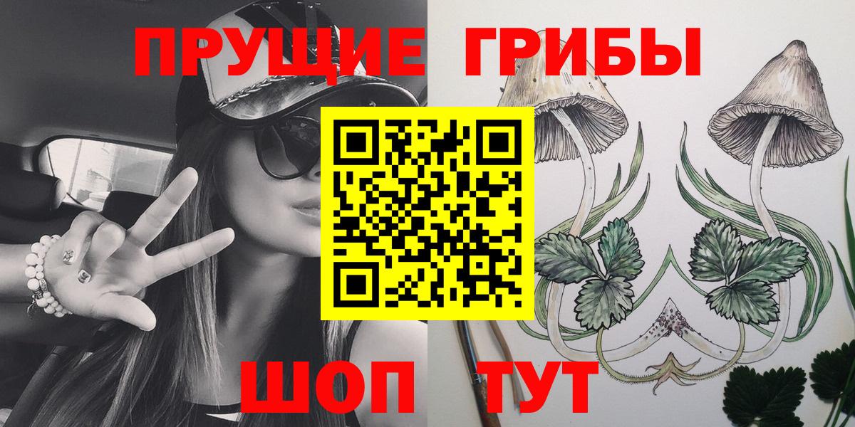 Шали  как найти закладки  Вход с VPN  Галлюциногенные грибы мицелий 